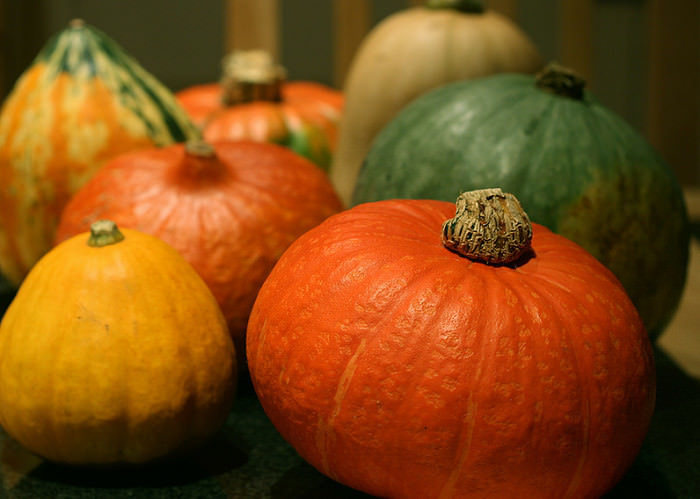 かぼちゃの糖質とカロリーと栄養素｜糖質制限中のかぼちゃはOK？