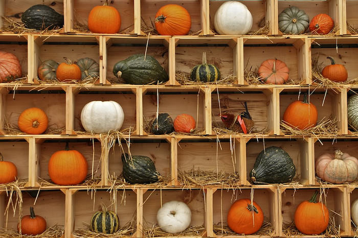 かぼちゃの糖質とカロリーと栄養素｜糖質制限中のかぼちゃはOK？
