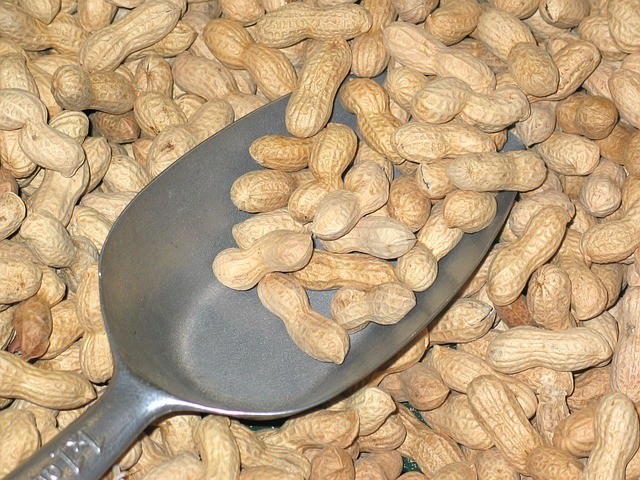 ピーナッツの糖質とカロリー、栄養素｜糖質制限中のピーナッツはOK？