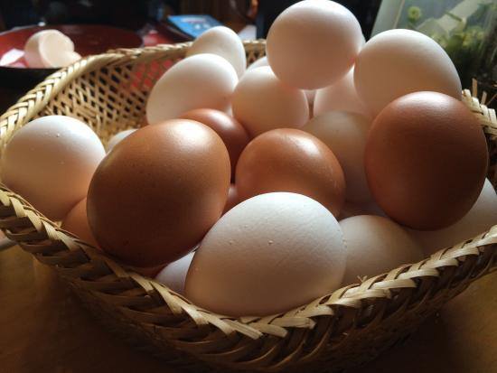 ゆで卵の栄養分を詳しく解説｜活用した健康レシピ10選