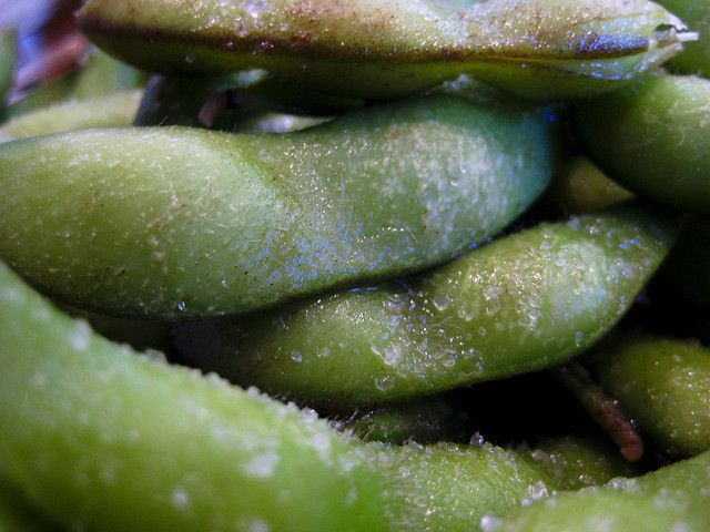 枝豆の糖質とカロリー、栄養素｜糖質制限中の枝豆はOK？