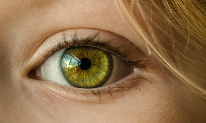 超簡単にできる視力回復トレーニング 10つ｜視力が低下しやすい“集中型”の傾向と原因