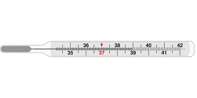 【方法別】体温計の正しい測り方｜新生児/妊娠/布団/時間