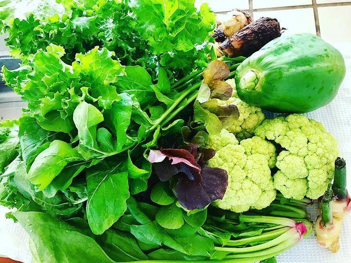 青パパイヤを使ったレシピ7選｜健康長寿の野菜を食べよう