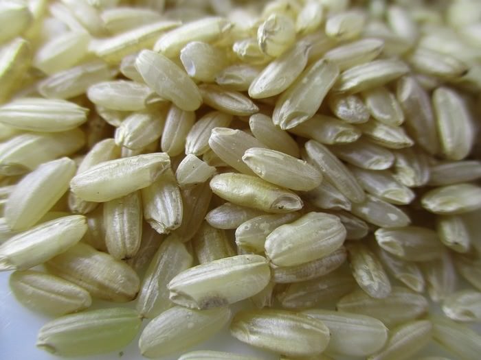 玄米の糖質とカロリー、栄養素｜糖質制限中の玄米はOK？