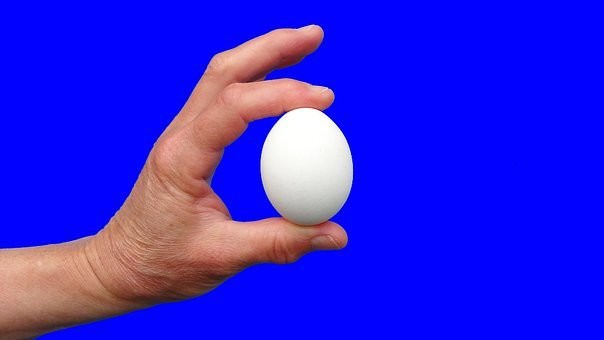 卵の糖質とカロリーについて｜糖質制限中の卵はOK？